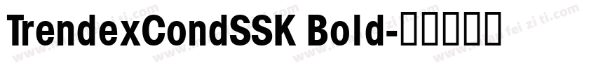 TrendexCondSSK Bold字体转换